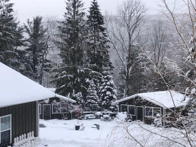 Belleayre Lodge Pine Hill Экстерьер фото