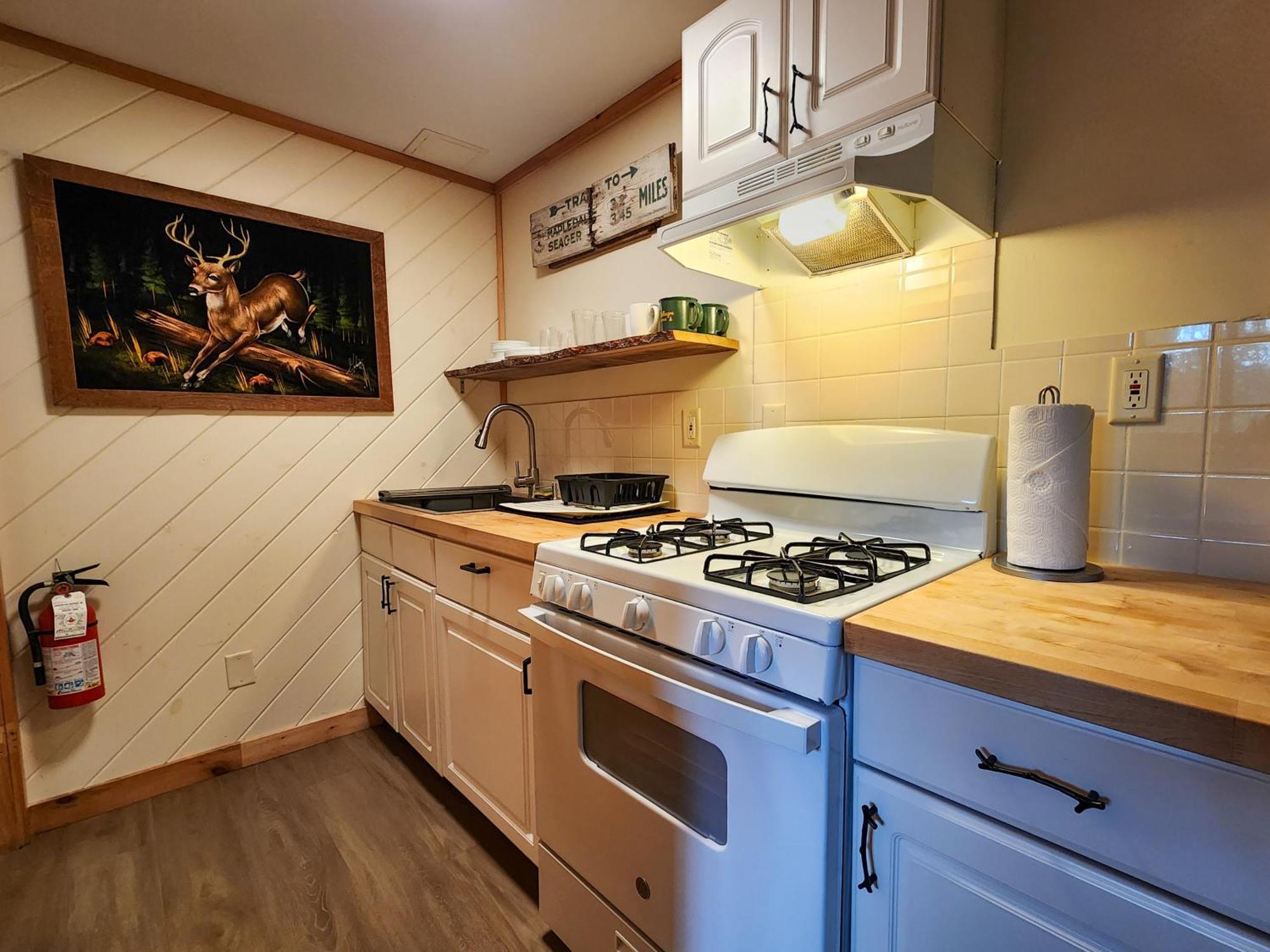 Belleayre Lodge Pine Hill Номер фото